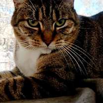 Thumbnail photo of Jenny 042021 #2