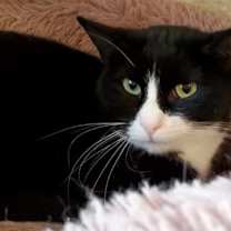 Thumbnail photo of Suzie Q 05-28-19 #2