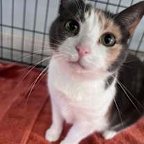 Thumbnail photo of Ella #2