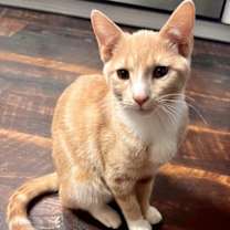 Thumbnail photo of Gerri #2