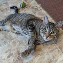 Thumbnail photo of Dixon #3