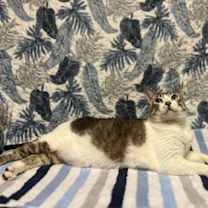 Thumbnail photo of Scarlett #2