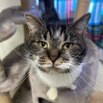 Thumbnail photo of Dora Lynn #2