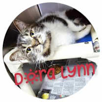 Thumbnail photo of Dora Lynn #3