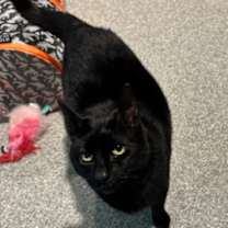 Thumbnail photo of Pita #2