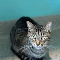 Thumbnail photo of Kinsley #3