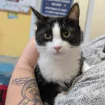 Thumbnail photo of Florence #3