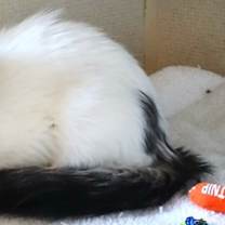 Thumbnail photo of Mavis #2