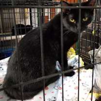 Thumbnail photo of Skater #3