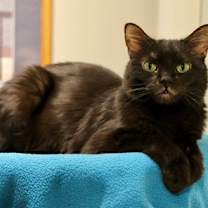 Thumbnail photo of Polly #2