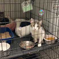 Thumbnail photo of Gretchen Weiners #2