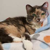 Thumbnail photo of Kennedy #2