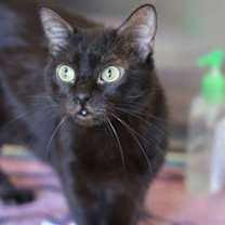 Thumbnail photo of Polly #3