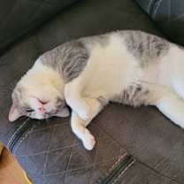 Thumbnail photo of Buddy #2