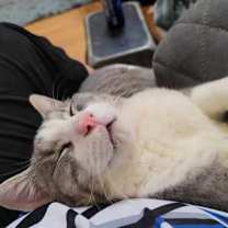 Thumbnail photo of Buddy #3