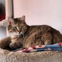 Thumbnail photo of Tessa #3