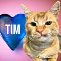 Thumbnail photo of Tim #2