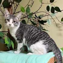 Thumbnail photo of Charlie #2