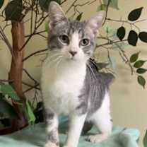 Thumbnail photo of Charlie #3