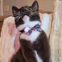 Thumbnail photo of Amir #2