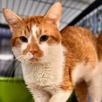 Thumbnail photo of Billy #2