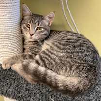 Thumbnail photo of Scanlan #2