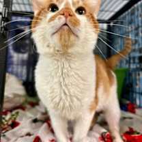 Thumbnail photo of Billy #3