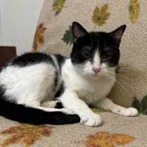 Thumbnail photo of Talia #2