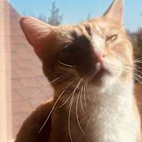 Thumbnail photo of Corey #3