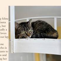 Thumbnail photo of Fauna #3