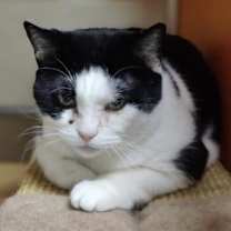 Thumbnail photo of Sheila #2