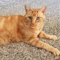 Thumbnail photo of Simon #3