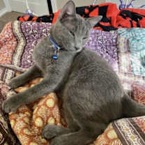 Thumbnail photo of Andujar Michelle #2