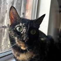 Thumbnail photo of Liddy #3