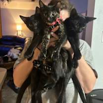 Thumbnail photo of Neziko #2