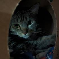 Thumbnail photo of Natasha #2