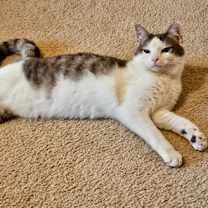 Thumbnail photo of Mia Anne #2