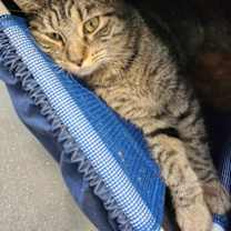 Thumbnail photo of August #3