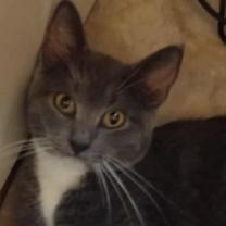 Thumbnail photo of Selina #2