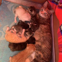 Thumbnail photo of Monique #3