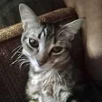 Thumbnail photo of Marla #4