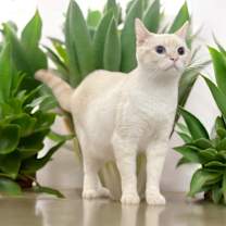 Thumbnail photo of Handsome #4