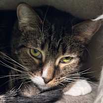 Thumbnail photo of Momma Maisy (Momma May) #2