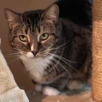 Thumbnail photo of Momma Maisy (Momma May) #3