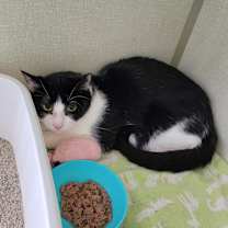 Thumbnail photo of Moky #2