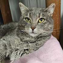 Thumbnail photo of Grits #2