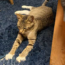 Thumbnail photo of Lacie #2