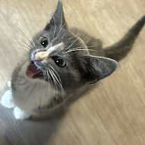 Thumbnail photo of Gucci #4