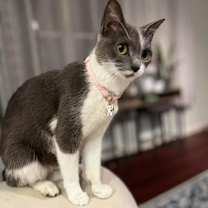 Thumbnail photo of Eve #3