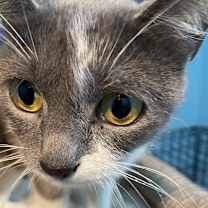 Thumbnail photo of Eve #4